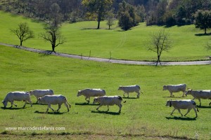 Agriturismo Cascina Bianca - Photo Marco Destefanis